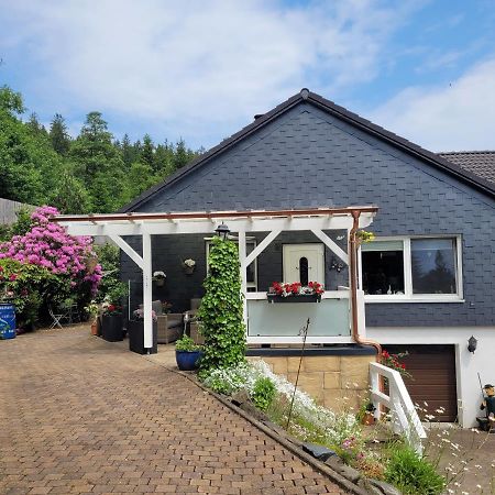 Gaestezimmer Haus Talblick Lautenthal المظهر الخارجي الصورة