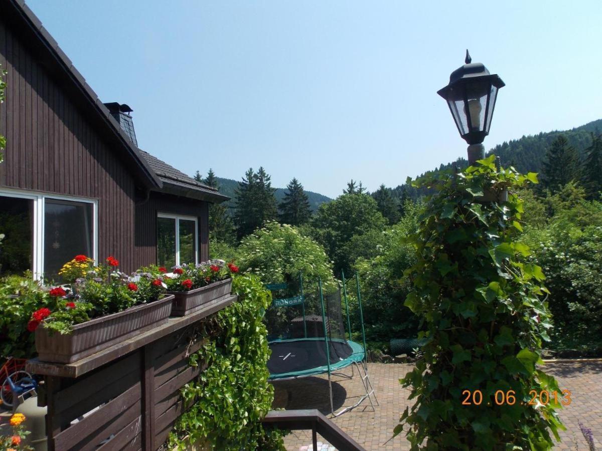Gaestezimmer Haus Talblick Lautenthal المظهر الخارجي الصورة