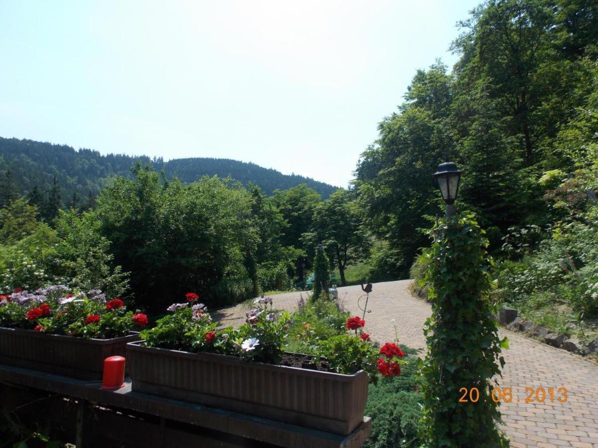 Gaestezimmer Haus Talblick Lautenthal المظهر الخارجي الصورة