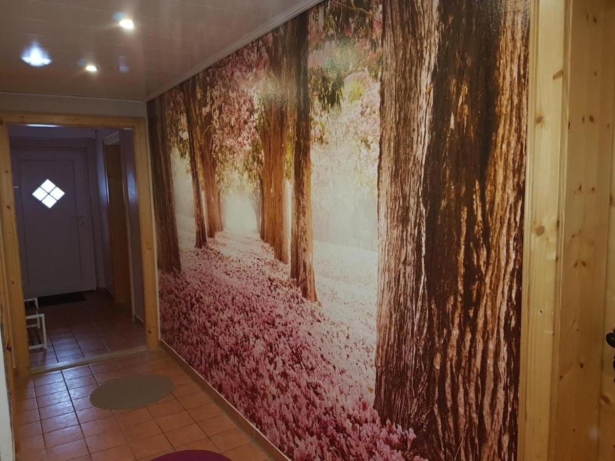 Gaestezimmer Haus Talblick Lautenthal المظهر الخارجي الصورة