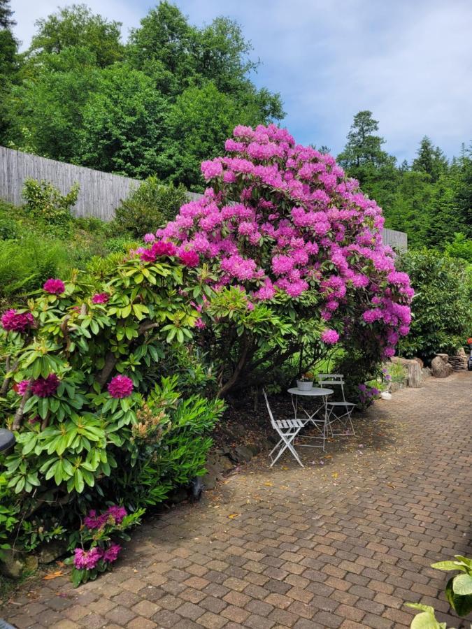 Gaestezimmer Haus Talblick Lautenthal المظهر الخارجي الصورة