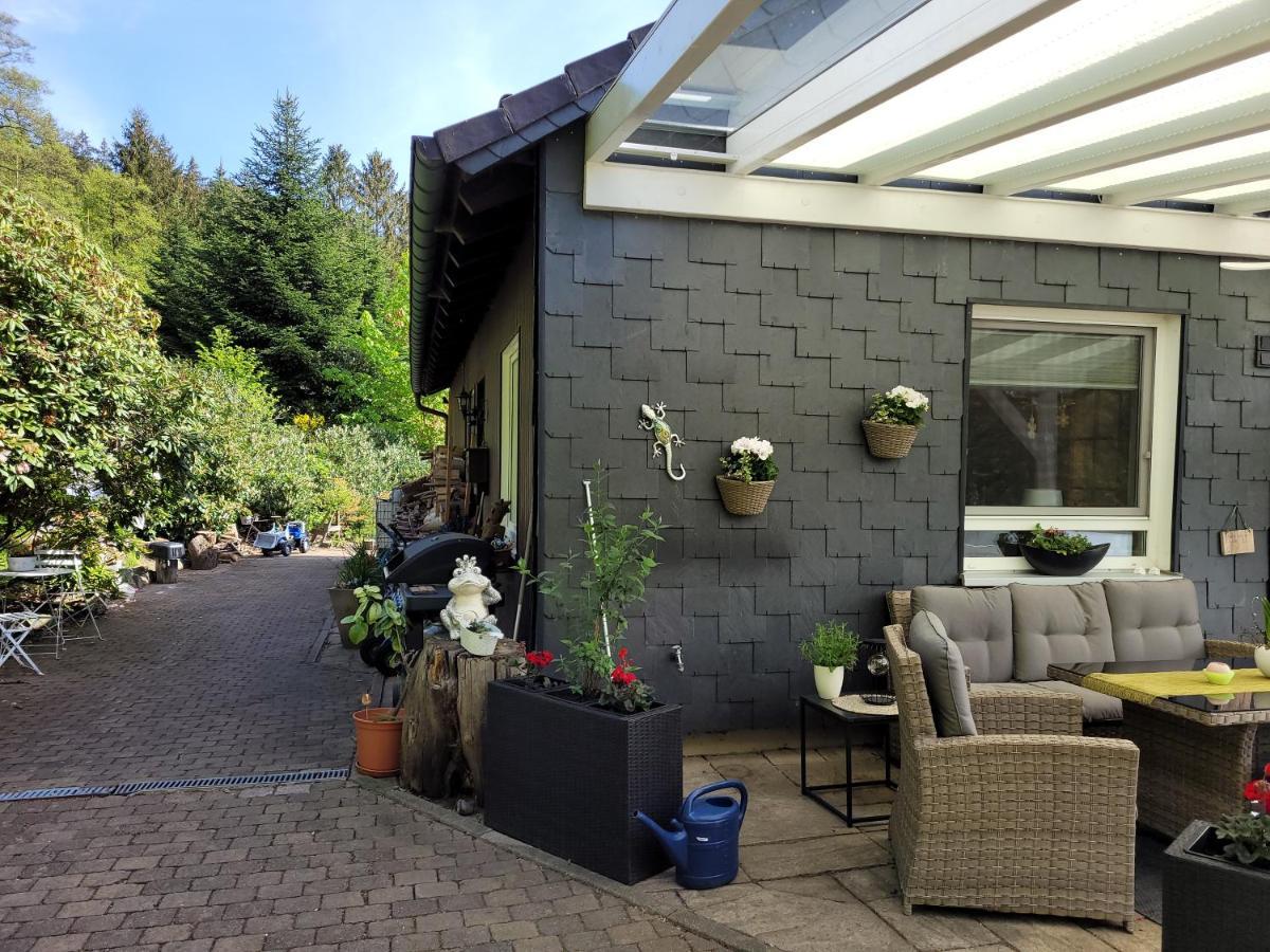 Gaestezimmer Haus Talblick Lautenthal المظهر الخارجي الصورة